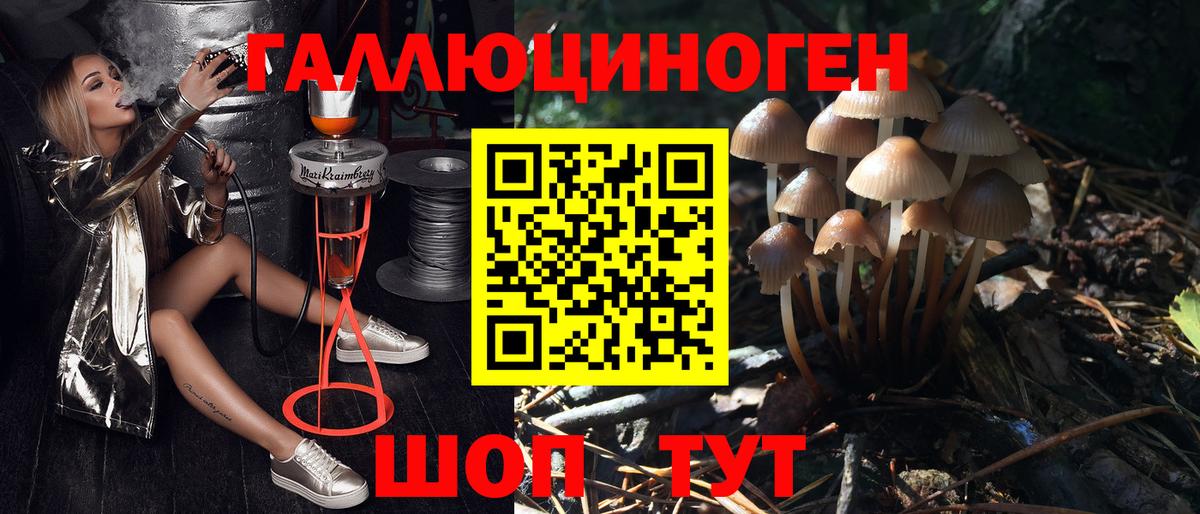 Солнечногорск  Галлюциногенные грибы Cubensis  Вход с VPN 
